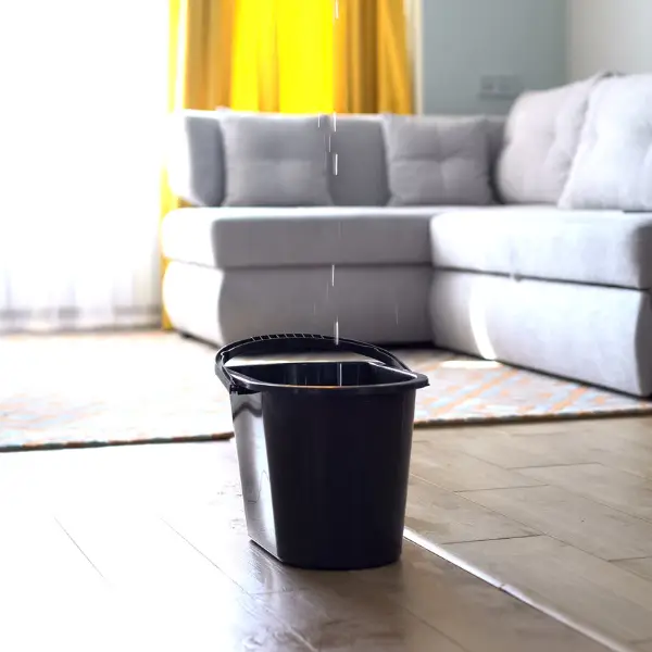 23 - Master Pro Services Inc.